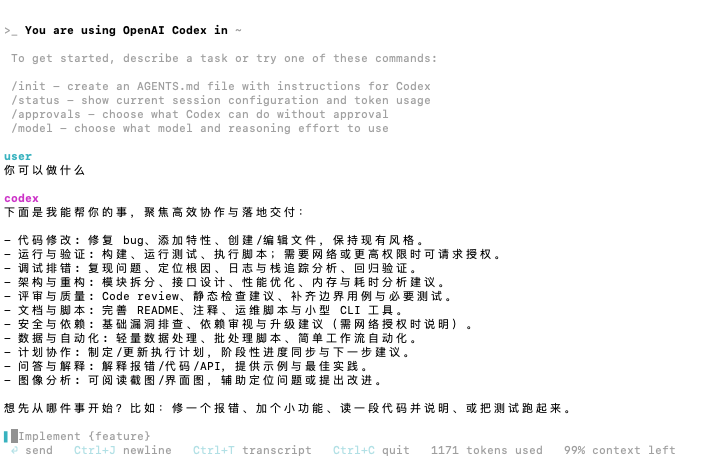 Codex 演示界面