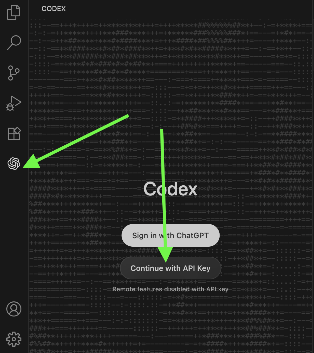 VSCode Continue With API Key